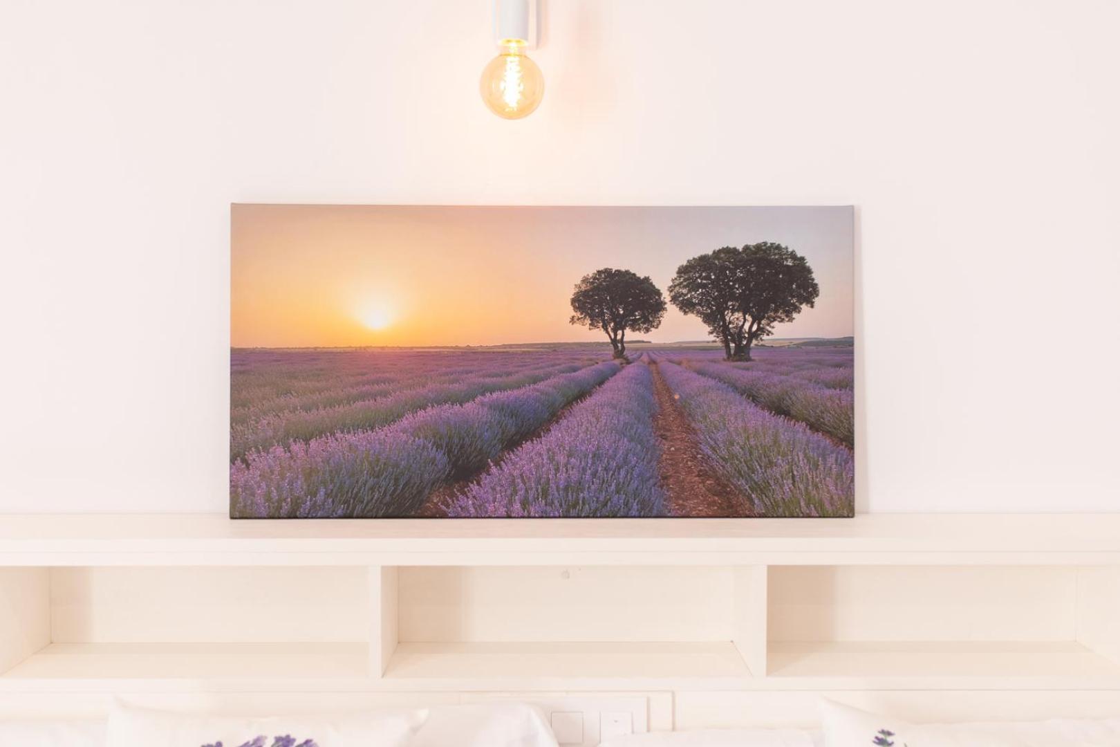 Apartamentos Turisticos Casa Morocho Alagon Del Rio 외부 사진